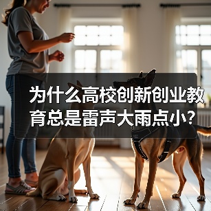 为什么高校创新创业教育总是雷声大雨点小？2026年课程与师资