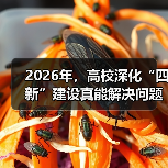 2026年，高校深化“四新”建设真能解决问题吗？