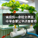 省级统一命题全覆盖,中考会更公平还是更卷?(图2) 省级统一命题全覆盖,中考会更公平还是更卷?(图2)