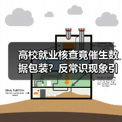 高校就业核查竟催生数据包装？反常识现象引深思（图1）
