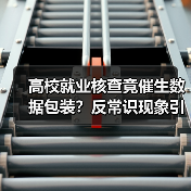 高校就业核查竟催生数据包装？反常识现象引深思（图4）