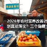 2026年农村营养改善计划真能落实?三个隐藏陷阱别踩(图2) 2026年农村营养改善计划真能落实?三个隐藏陷阱别踩(图2)