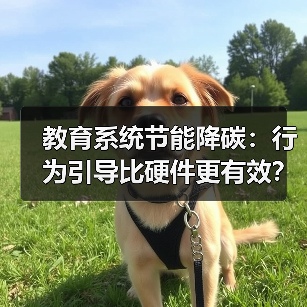 教育系统节能降碳：行为引导比硬件更有效？（图3）