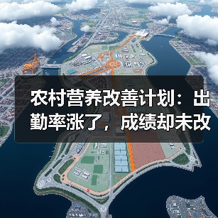 农村营养改善计划：出勤率涨了，成绩却未改善？反常识的饮食真相（图3）