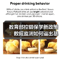 教育部控辍保学新政策:数据监测如何逼出基层真实应对(图2) 教育部控辍保学新政策:数据监测如何逼出基层真实应对(图2)