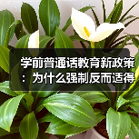 学前普通话教育新政策:为什么强制反而适得其反?(图2) 学前普通话教育新政策:为什么强制反而适得其反?(图2)