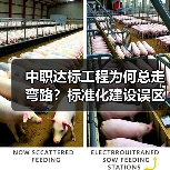 中职达标工程为何总走弯路?标准化建设误区全解析(图1) 中职达标工程为何总走弯路?标准化建设误区全解析(图1)
