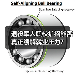 退役军人职校扩招能否真正缓解就业压力?(图4) 退役军人职校扩招能否真正缓解就业压力?(图4)