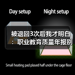 被退回3次后我才明白:职业教育质量年报别再写流水账(图1) 被退回3次后我才明白:职业教育质量年报别再写流水账(图1)