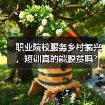职业院校服务乡村振兴，短训真的能脱贫吗？（图4）