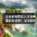 企业参与职校人才培养真的有效吗？深度解析校企合作现状（图4）