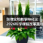 别信实验教学神化论：2026科学课程改革真相（图4）