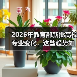 2026年教育部新批高校专业变化，这些趋势如何影响你的选择？（图3）