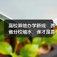 高校异地办学新规：跨省分校缩水，谁才是真正受益者？（图4）