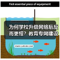 为何学校升级网络后反而更慢？教育专网建设关键在细节（图1）