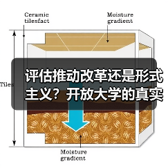 评估推动改革还是形式主义？开放大学的真实困境（图4）