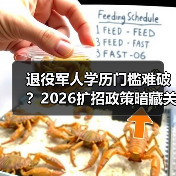 退役军人学历门槛难破？2026扩招政策暗藏关键变化（图1）