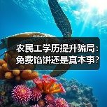 农民工学历提升骗局：免费馅饼还是真本事？（图2）