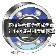 职校生考证为何成焦点？1+X证书制度如何重塑就业竞争力？（图4）
