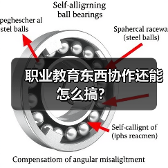 职业教育东西协作还能怎么搞？（图4）