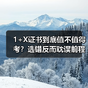 1+X证书到底值不值得考？选错反而耽误前程（图4）