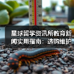 星球留学资讯所教育新闻实用指南:选购维护与问题解析(图2) 星球留学资讯所教育新闻实用指南:选购维护与问题解析(图2)