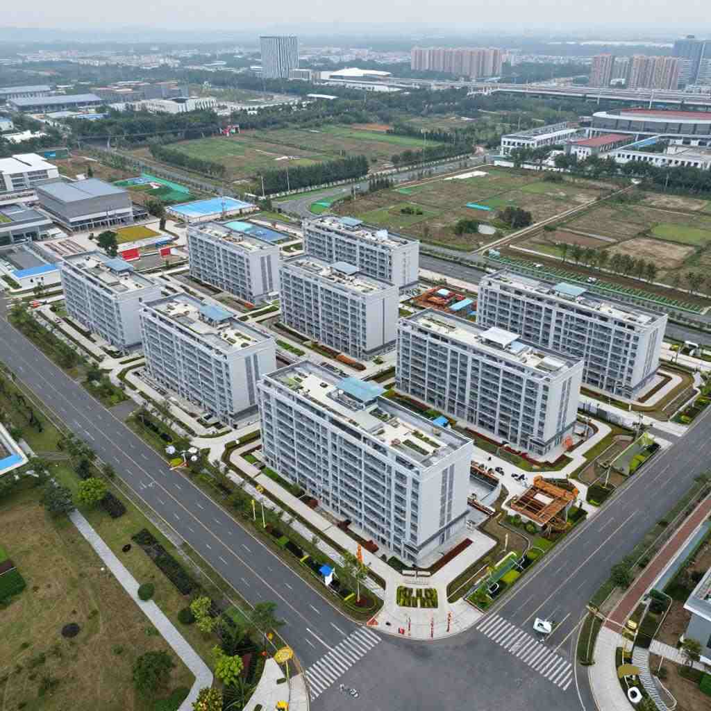 政治局会议部署明年经济工作与法治建设，强调高质量发展与风险防范