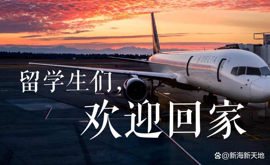 留学人才加速回流，创新创业支持体系持续完善的缩略图