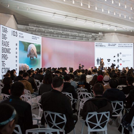 全球教育计划成果汇报：跨学科议题探索与未来设计教育实践的缩略图