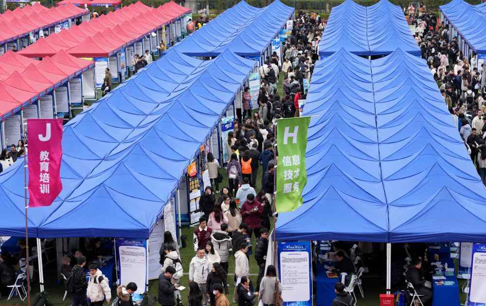 高校毕业生高质量就业服务体系构建与关键举措解读(图4)