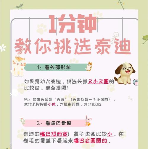 泰迪犬行为教育指南：三招培养乖巧宠物(图1)